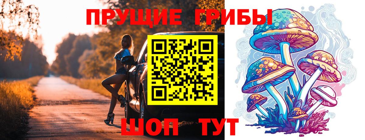 Псилоцибиновые грибы GOLDEN TEACHER  Вход с VPN  Нарткала 